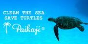 SEVE TURTLES�����ߥ��������